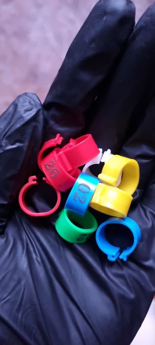 Кольца для голубей