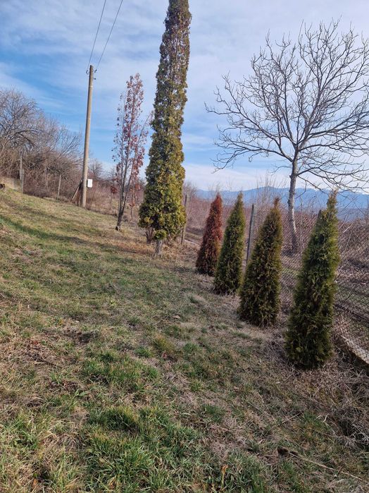 Имот в с.Очуша за вила, къща илиовощна градина