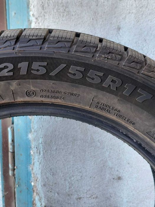 Зимние шины 215/55R17 Evershine