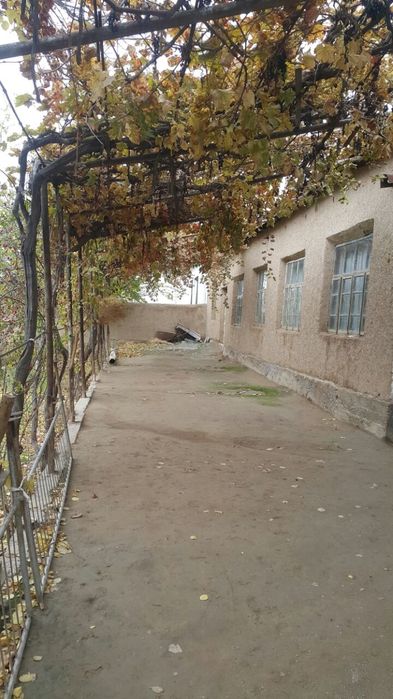 Narpay xovli sotiladi