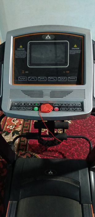 Bigavoy darojka katasi