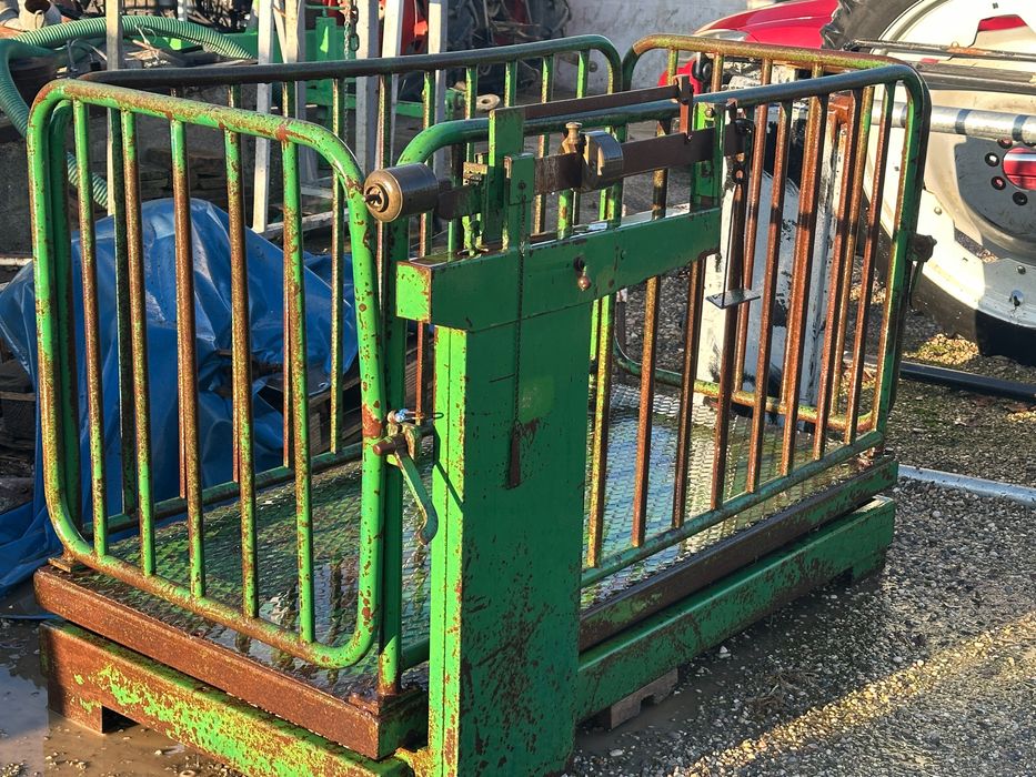 Cantar animale bovine/ovine