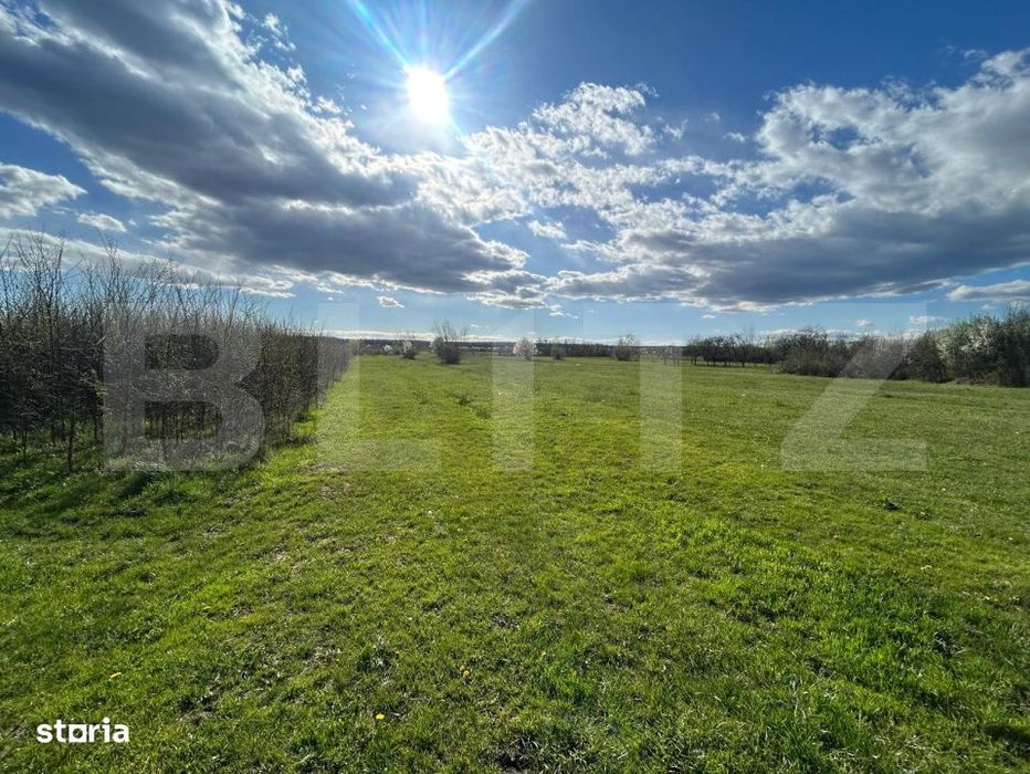 Teren | Rancaciov | 2000 Mp | 700 Intravilan |
