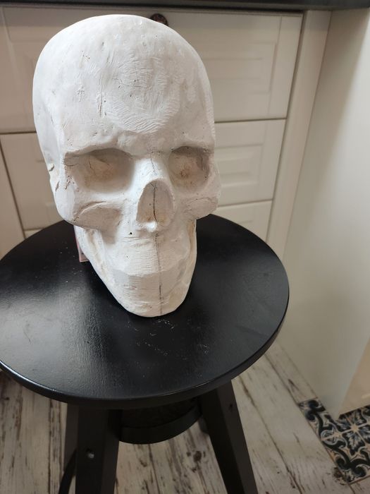 Гипсови череп в реален размер за рисуване