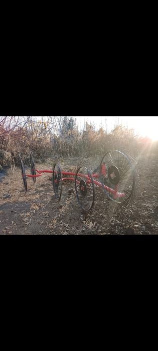 Продается сельхоз ромашка -варошилка