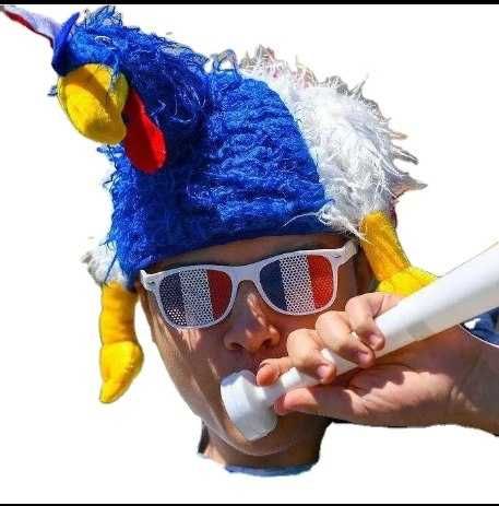 EC 2024 Френски талисман La Coq gaulois