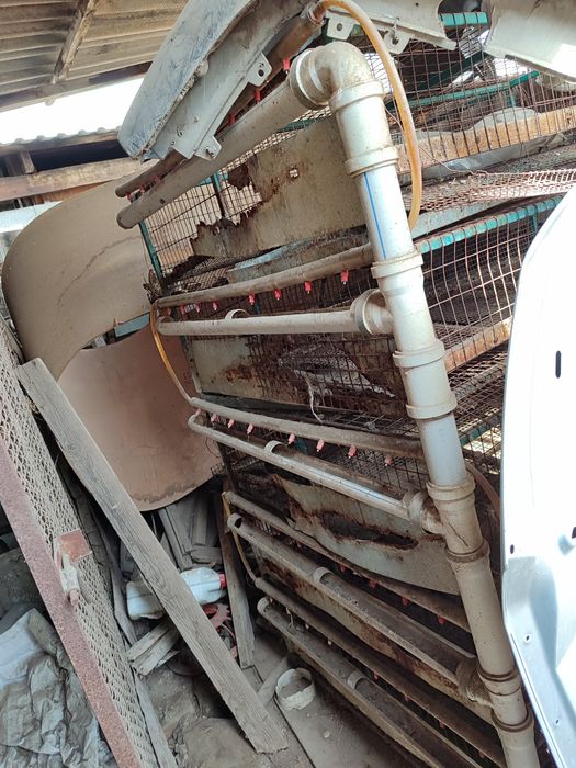 Брудера для птицы