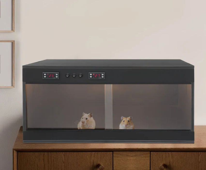 Terariu Reptile / Arici 80x40x40