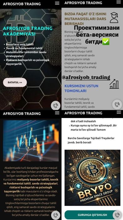 Команда программистов PRIMECODERS