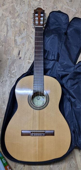 Chitara Reghin Student N