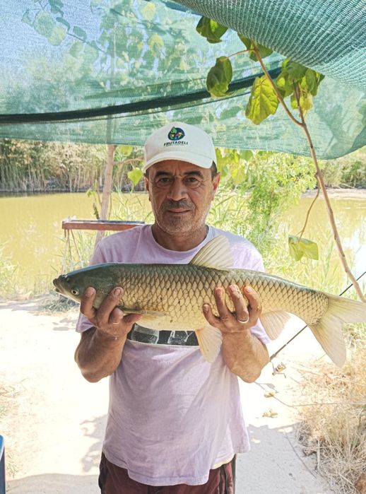 Семейный отдых и рыбалка