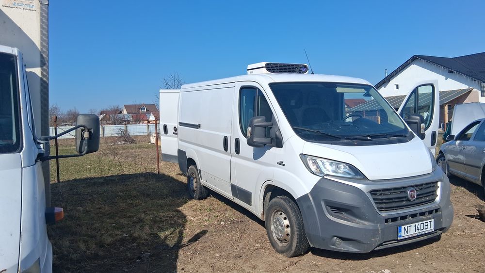 Fiat ducato frigorifica
