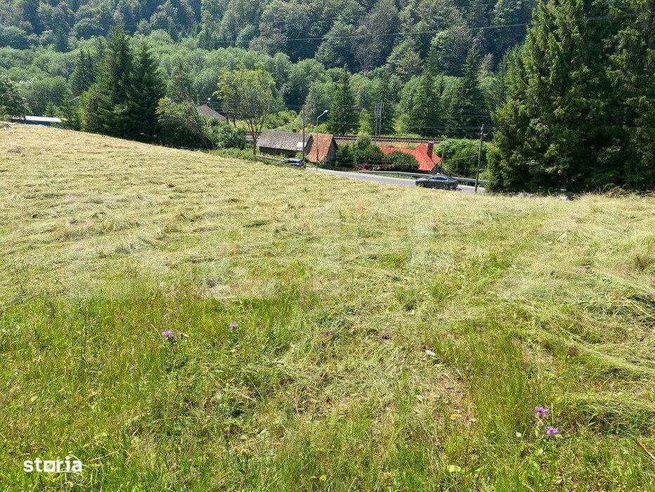 Oportunitate de Investitie: Teren de 10.000 mp la Intrarea in Predeal