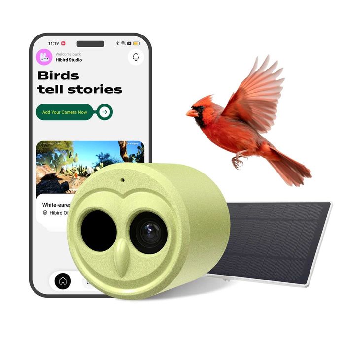 Камера за заснемане на птици Hibird   4K   Bird   Camera