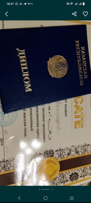 Профессиональный  выезд