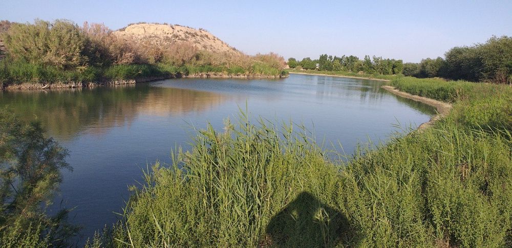 Баликхона + товукхона 4.5 гектарга  эга ер майдони сотилади