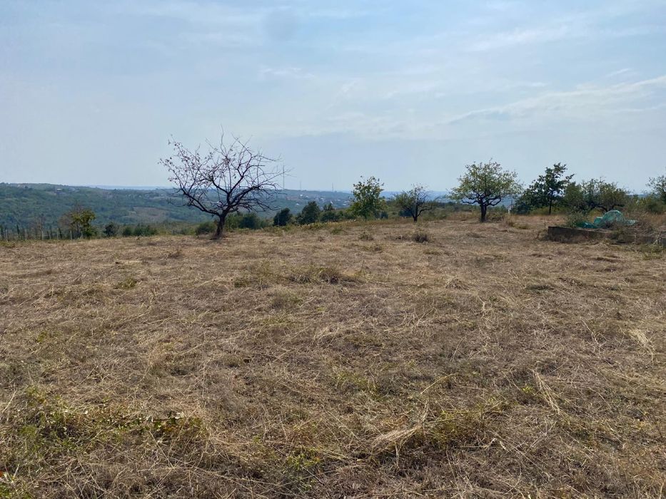Vand teren intravilan 1500m2 saldabagiu de munte paleu bihor
