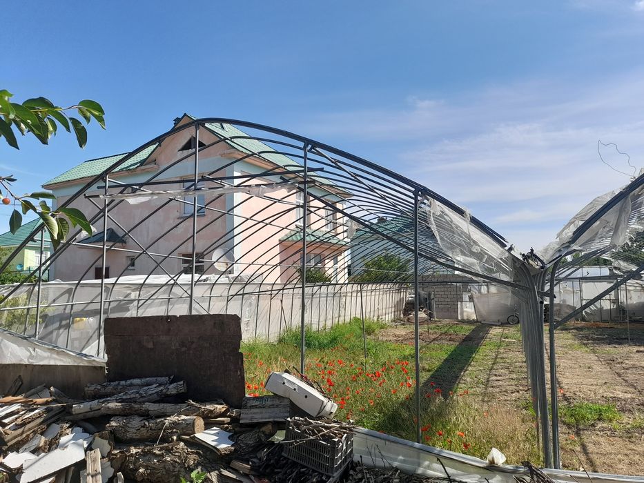 Теплица двухяростный