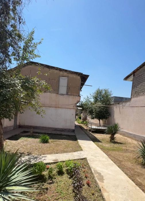 Teng yarim narxida sotuvga qo'yilgan Xovli-Yer. Samarqand darvoza.