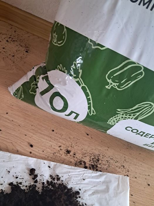 Грунт Расада  цветы