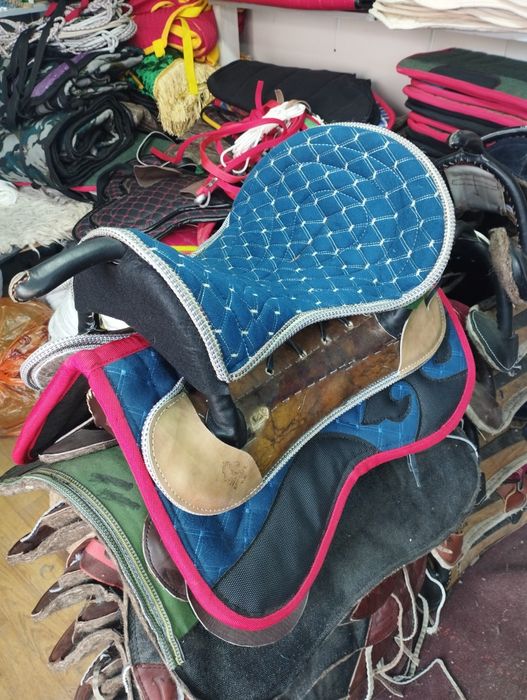 Ат жабдықтары ертоқым