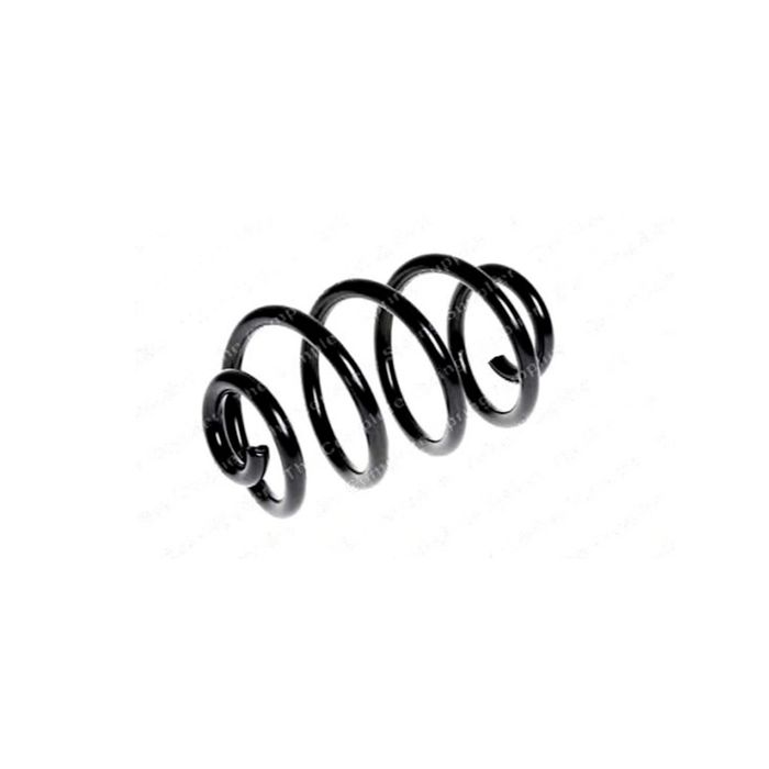 Arc suspensie Renault Clio 3 (BR0) 2005-2014, Clio 3 Grandtour (KR0) 2007-2014, Modus / Grand Modus (F) 2004-2012, montare: punte spate, Tevema
