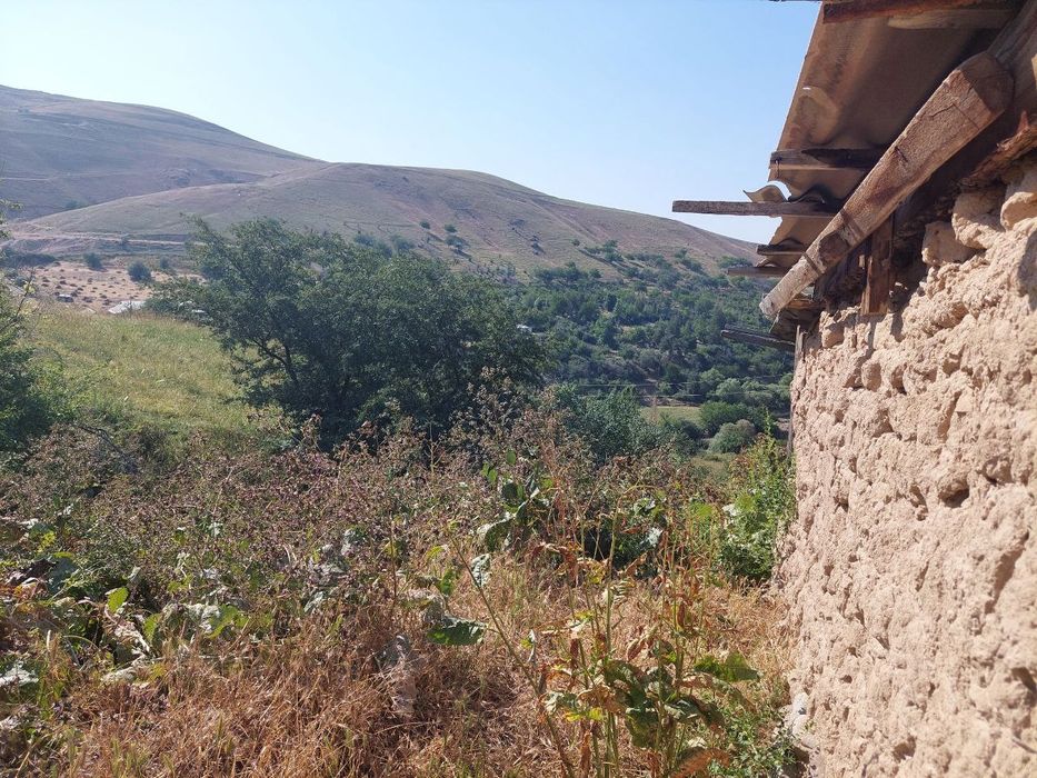 Uchastka yer maydoni dacha un ajoyib joy