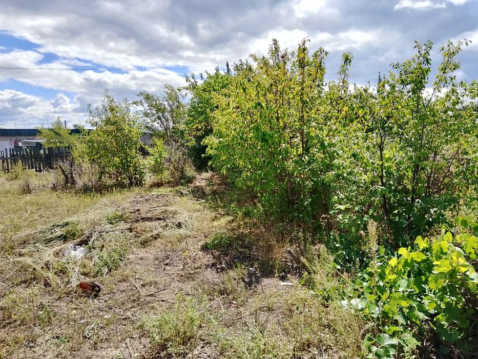 Продам дачу возле Кенжекольского моста