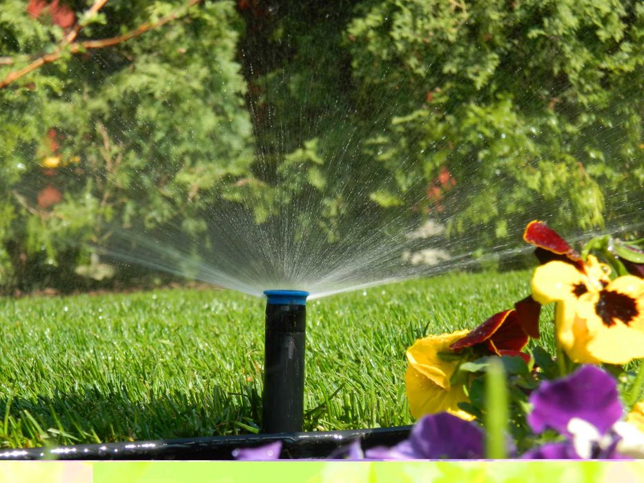 Sisteme de irigare automatizate