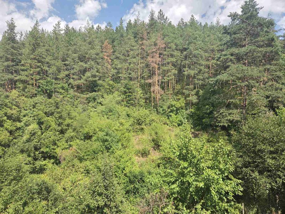 Продава се Етаж от къща в Кюстендил, Колуша - 62 кв.м за 568 €/кв.м - Снимка #8