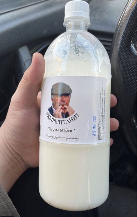Кымыз ыскриптонит