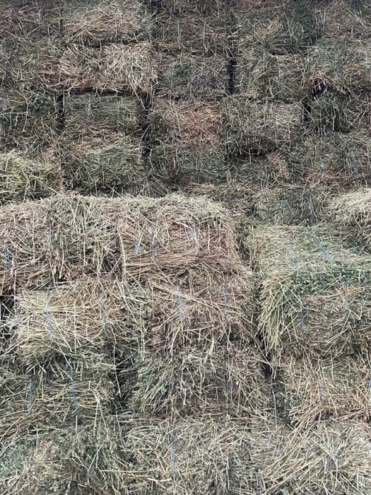 Baloti fan cu lucerna