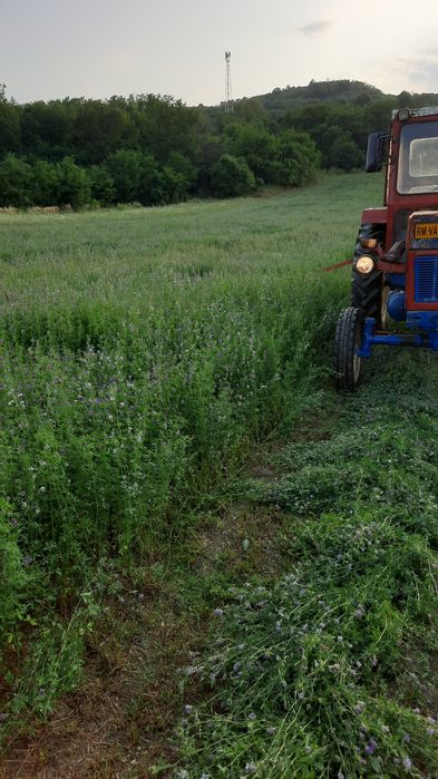‼️Baloti de lucerna și baloți de paie de grâu‼️