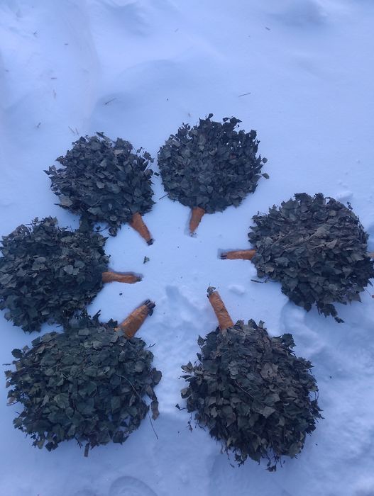 Веники берёзовые