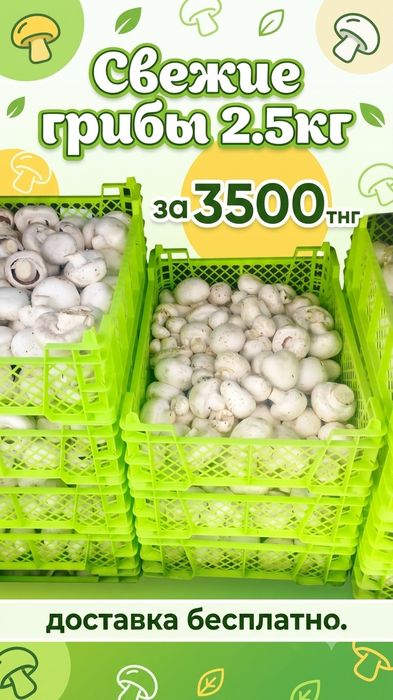 Грибы шампиньоны 2.5кг -3500