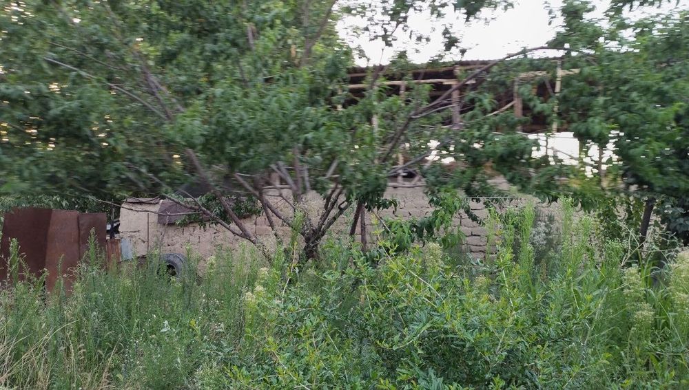 Uy  bor kichik intfoq