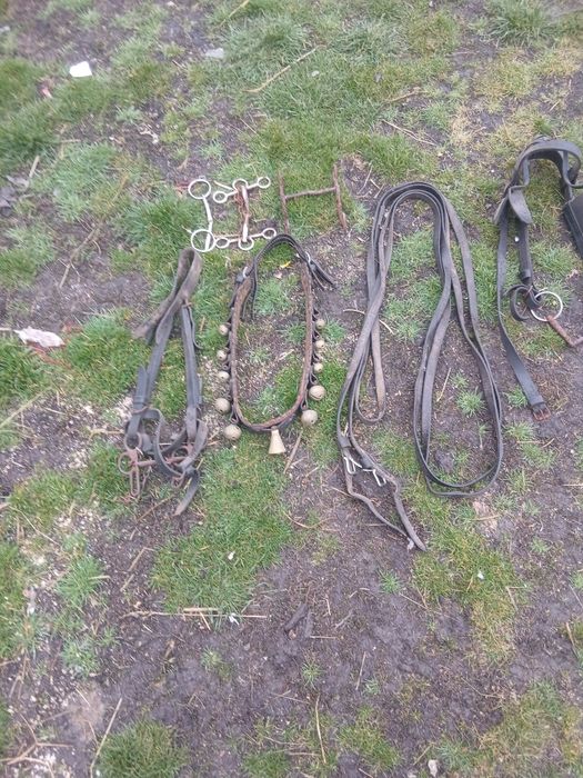 De vânzare ham curea cu clopote pentru cai