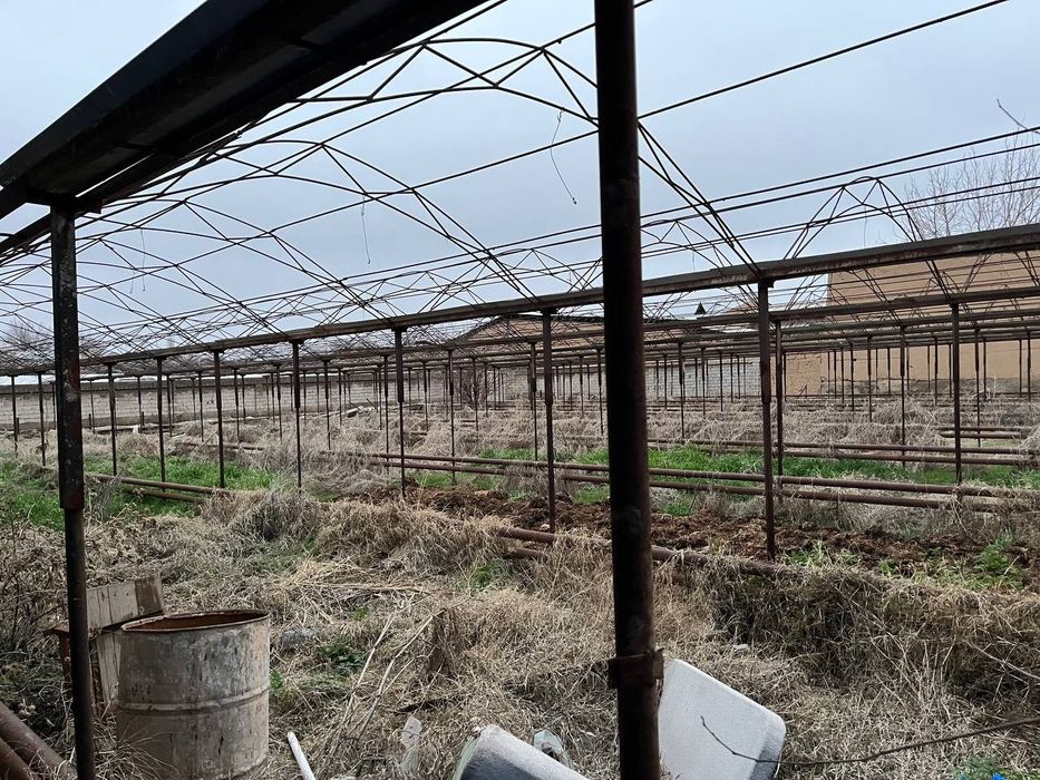 Nazarbek ramadanda yer ozimmiki 40*40 sotigi 9mindan 16sotik