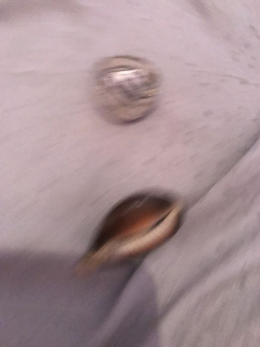 Obiecte pentru colectionari