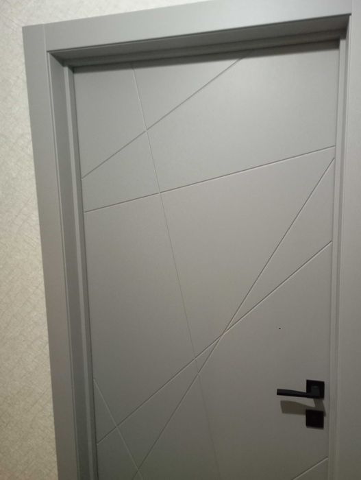 Установка межкомнатных дверей