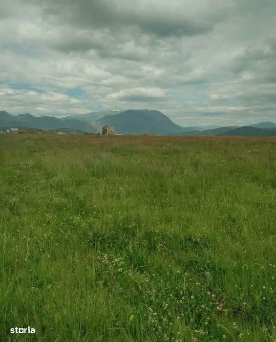 4.8 Ha între Râșnov și Bran – 199m Front la DN73 - intravilan