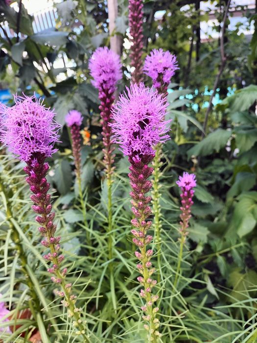 Сдам в аренду землю