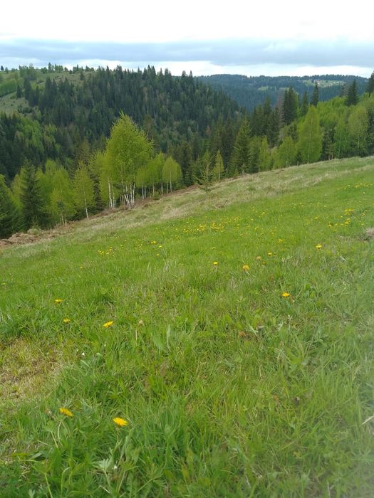 Vând teren în Maguri, Cluj