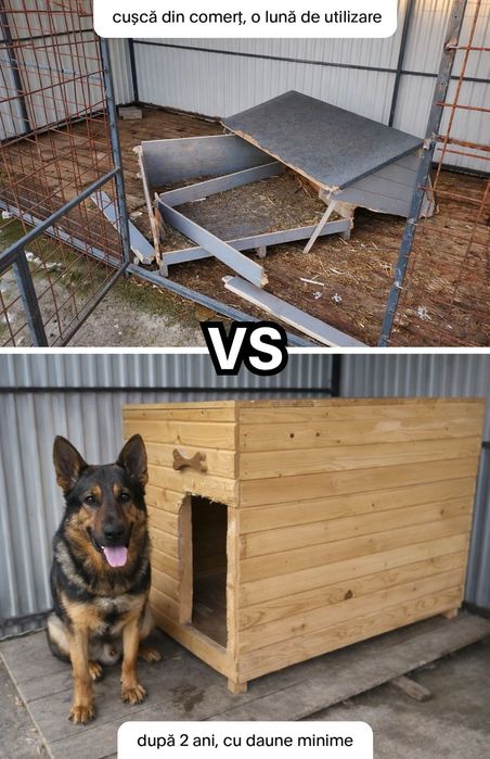 Cușca câine  trainică