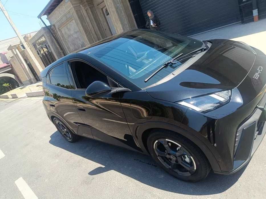 BYD Seaguli rassrochka nasiya