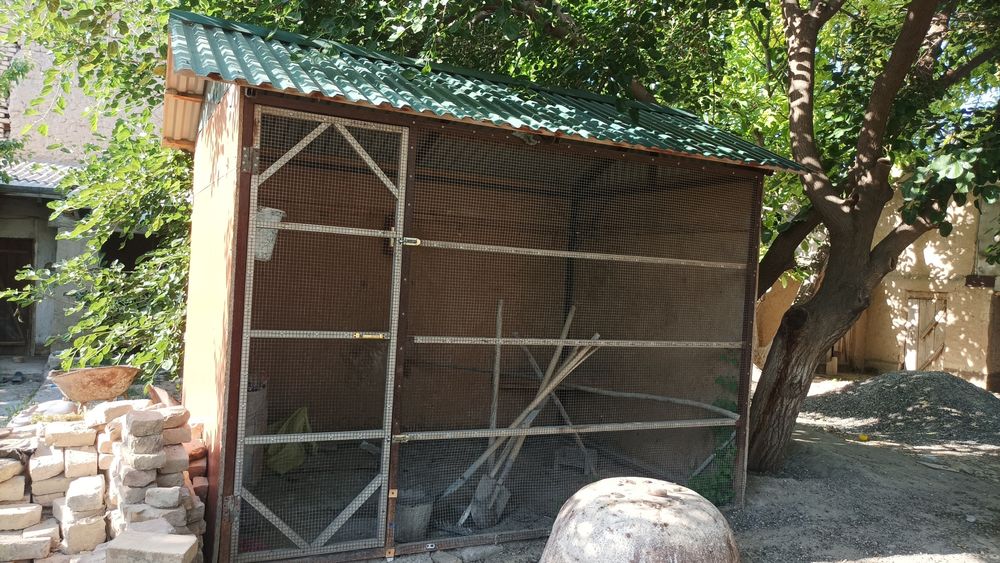 Qoy katk toviq katak