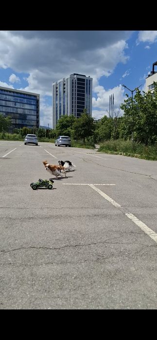 Rc кола Wltoys12428 тежко модифицирана ,направена изцяло за асфалт ,със състезателно окачване-4x4 + резервни части