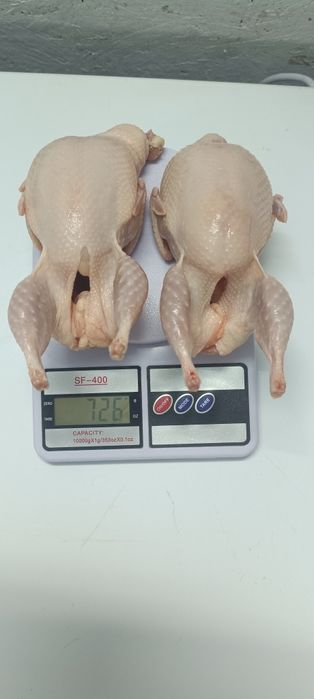 Продам мясо перепелов