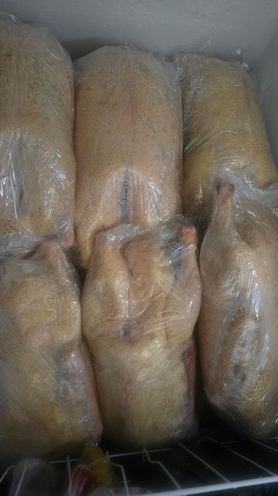 Продам мясо гуся