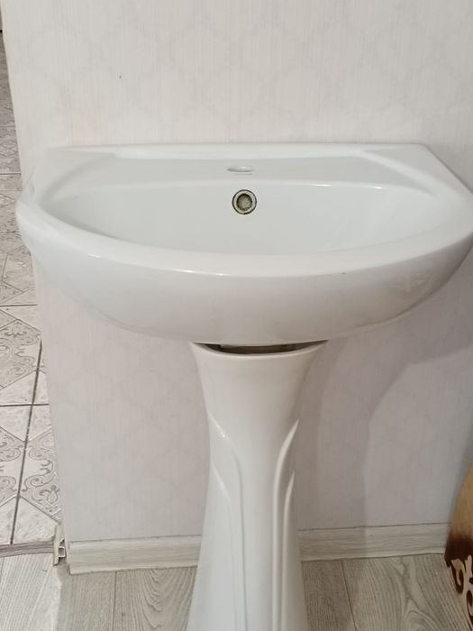 Раковина  тульпан